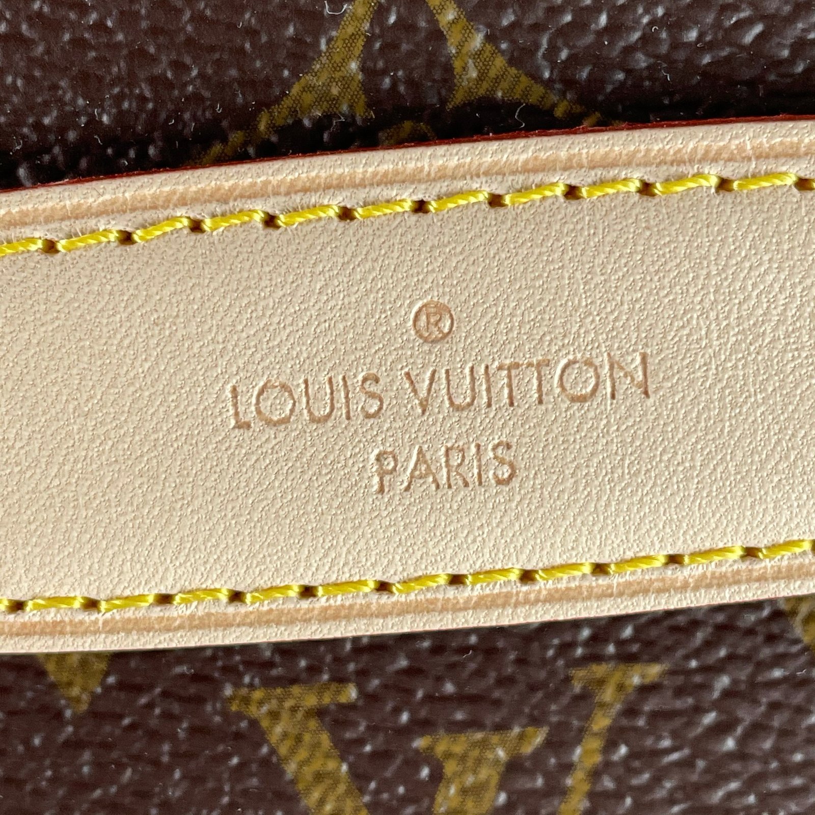 LOUIS VUITTON Bumbag – Image 9