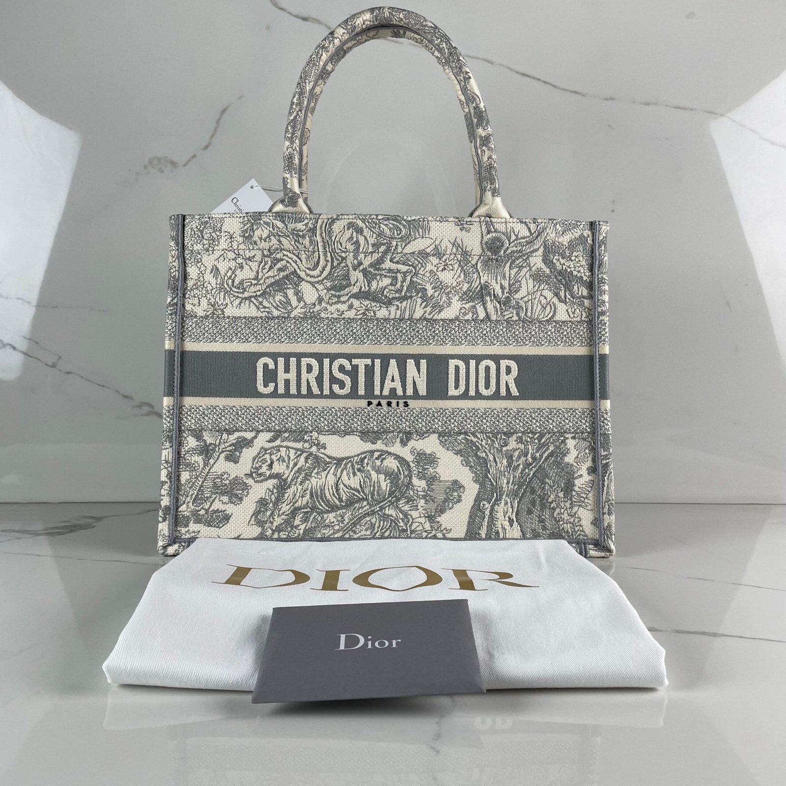 DIOR Book Tote Small – Image 2
