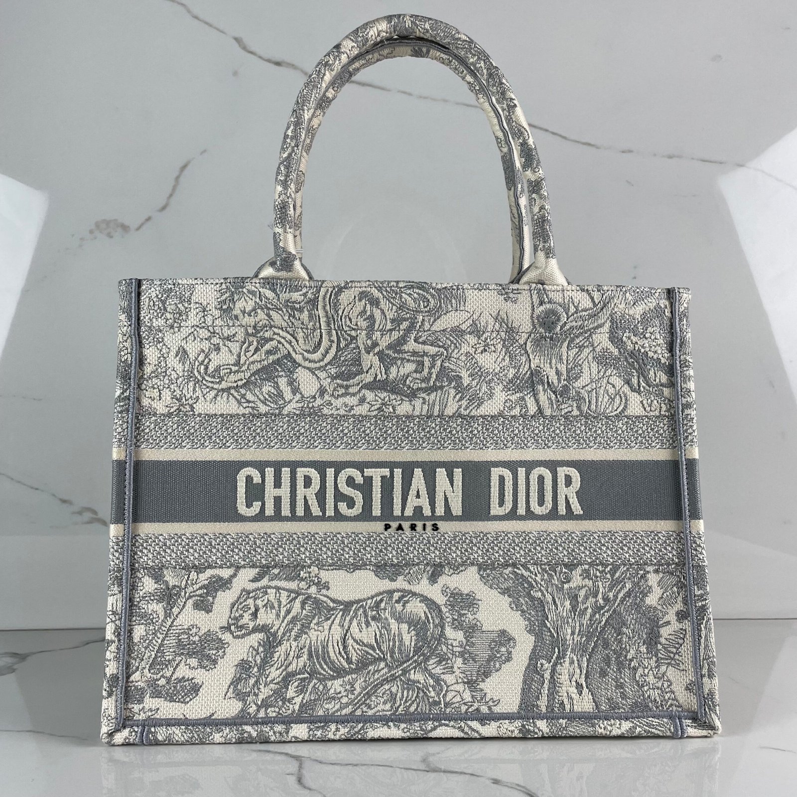 DIOR Book Tote Small – Image 4