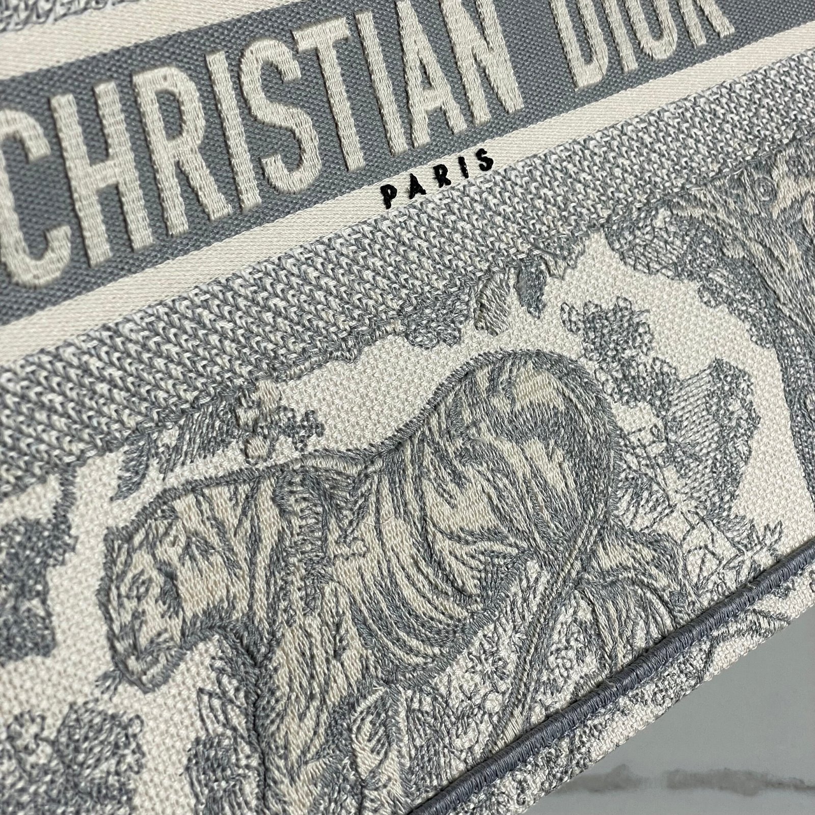 DIOR Book Tote Small – Image 16