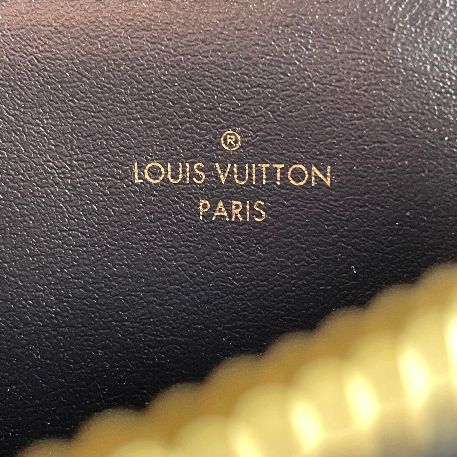 Louis Vuitton Pochette Félicie – Image 19