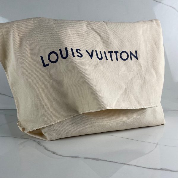 LOUIS VUITTON CarryAll PM – Image 2