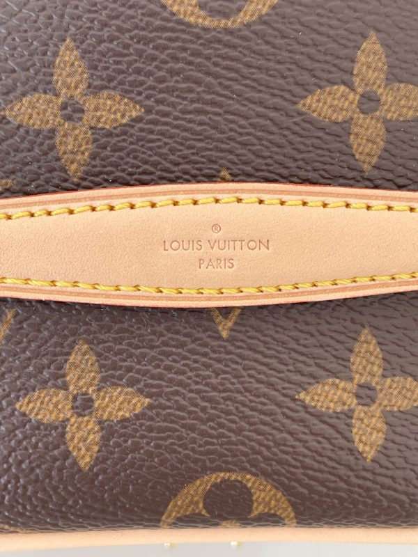 LOUIS VUITTON Nice Nano – Image 9