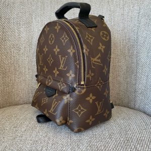 LOUIS VUITTON Sac à Dos Palm Springs Mini