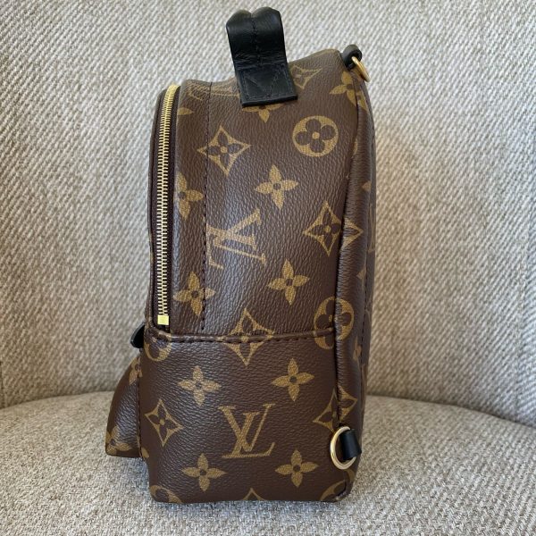 LOUIS VUITTON Sac à Dos Palm Springs Mini – Image 4