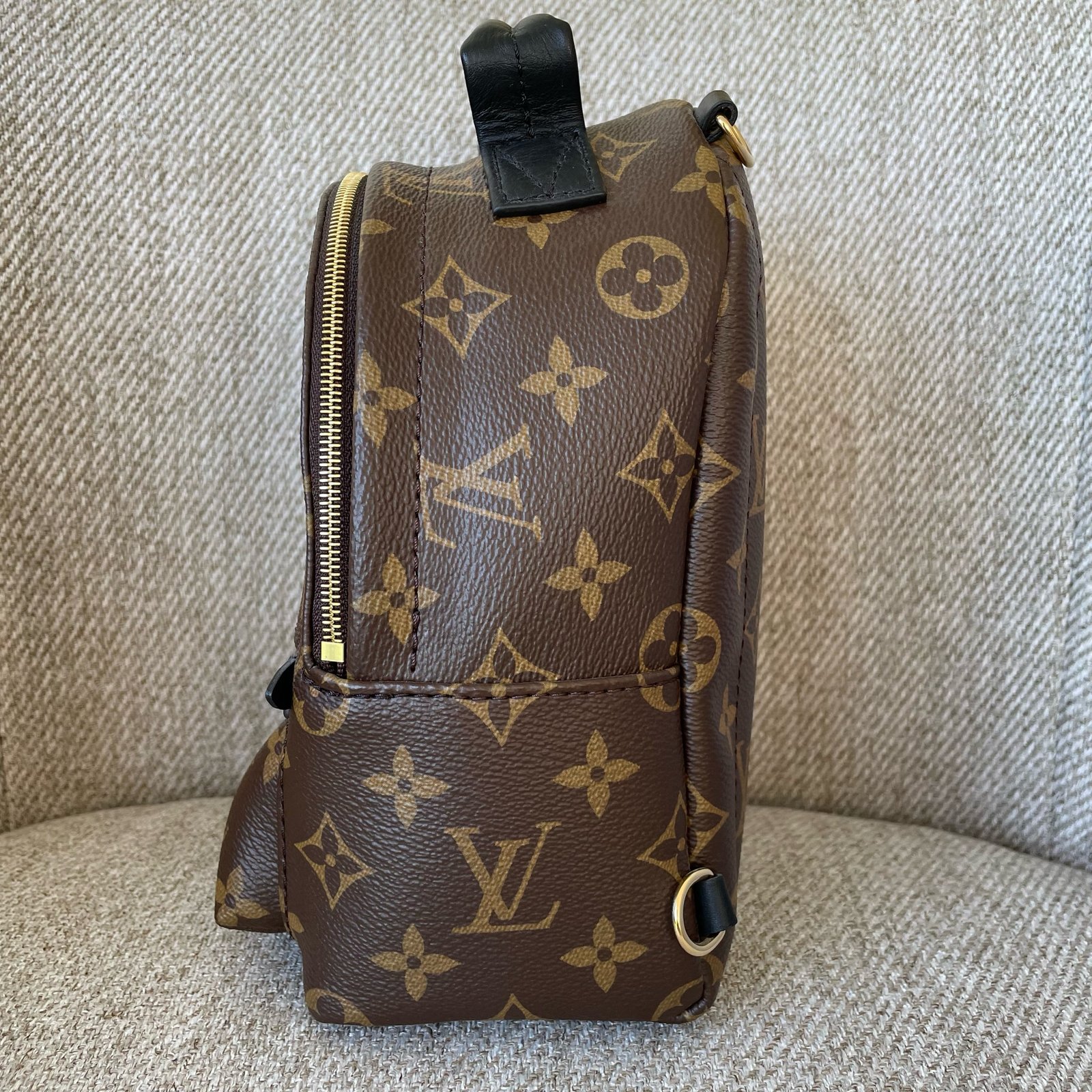 LOUIS VUITTON Sac à Dos Palm Springs Mini – Image 4