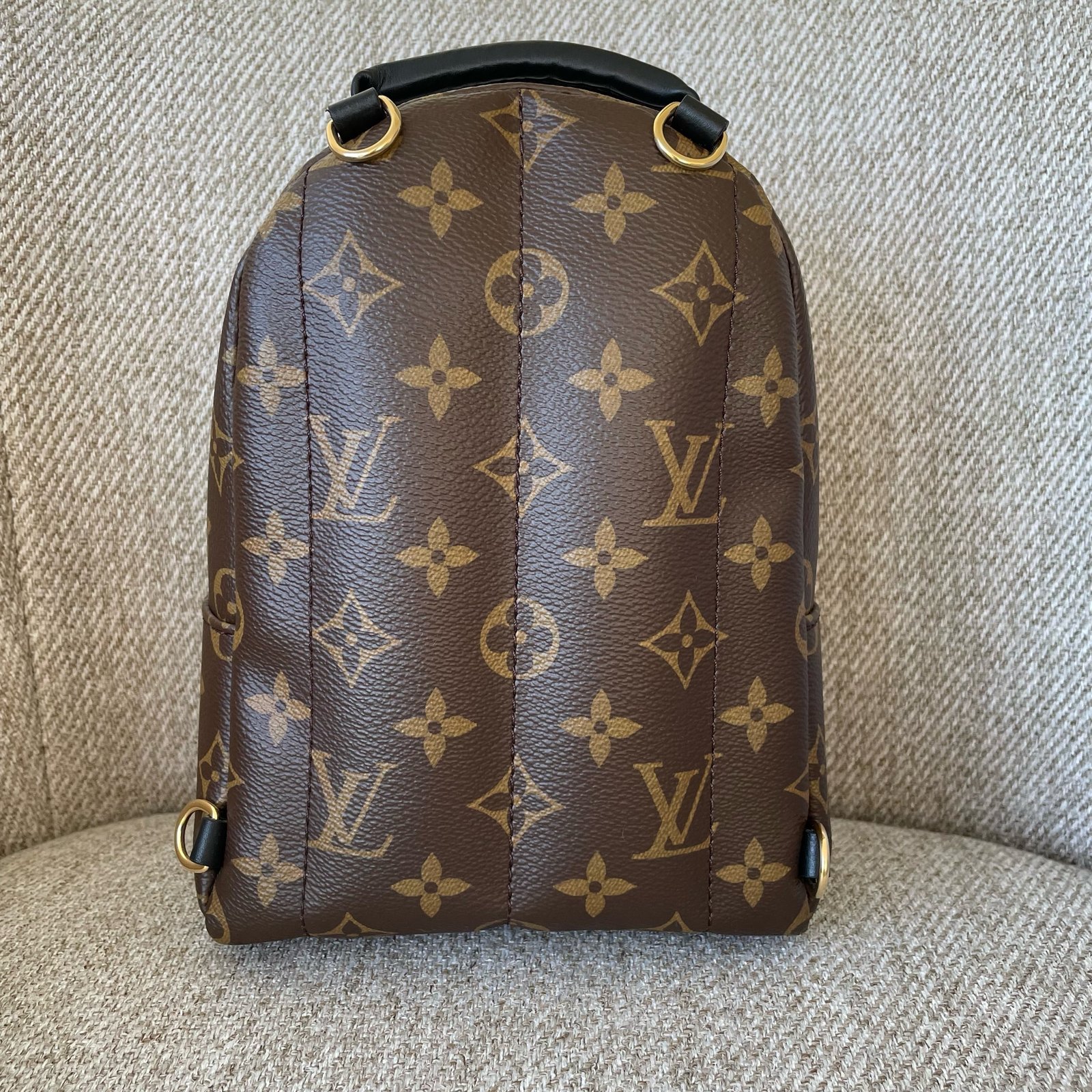 LOUIS VUITTON Sac à Dos Palm Springs Mini – Image 5