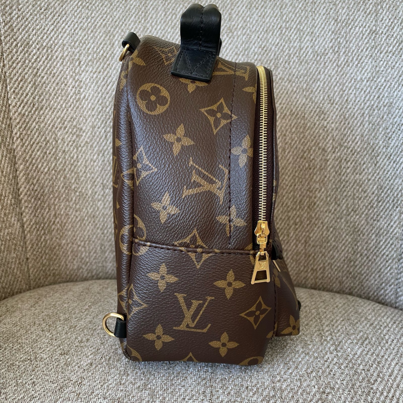 LOUIS VUITTON Sac à Dos Palm Springs Mini – Image 6
