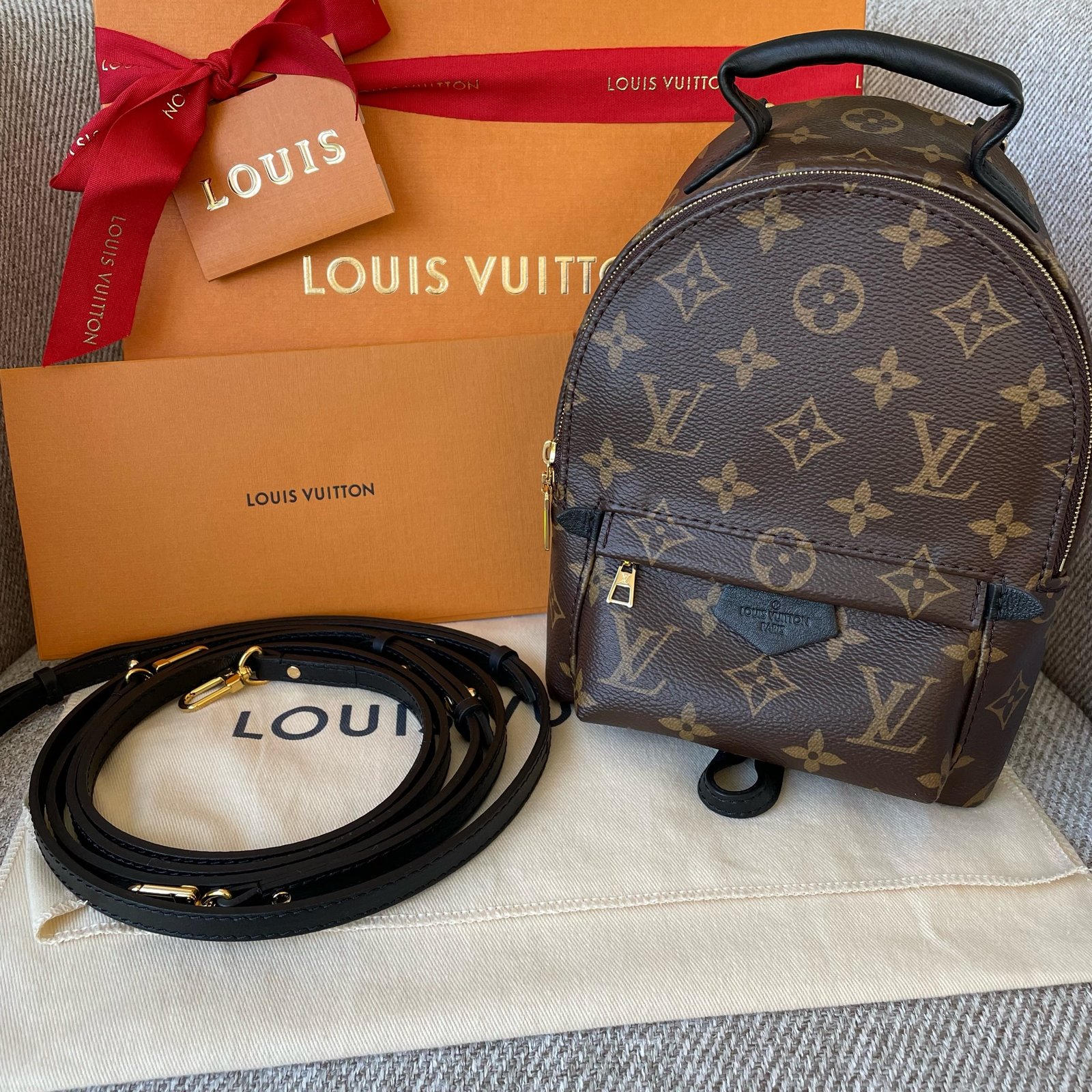 LOUIS VUITTON Sac à Dos Palm Springs Mini – Image 2