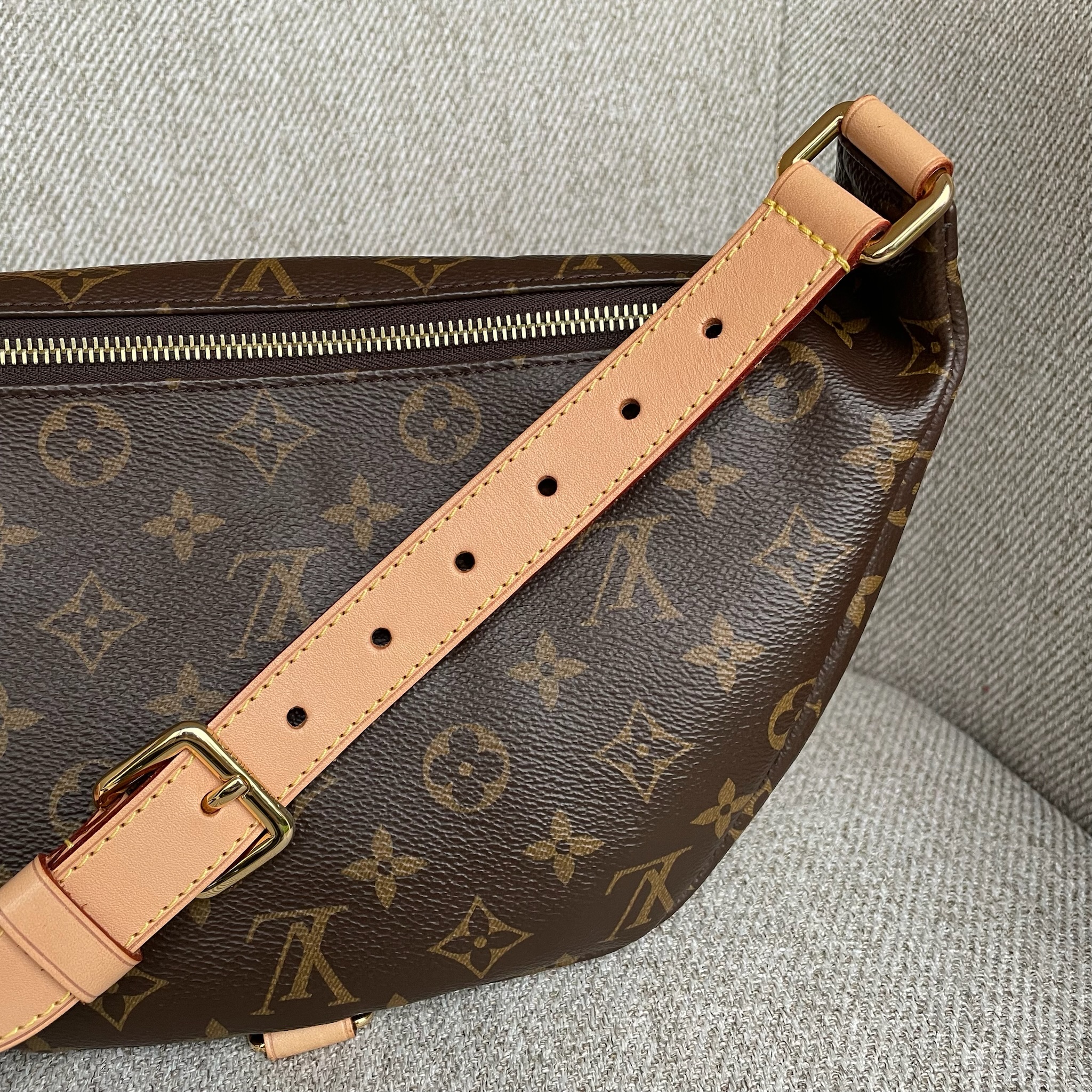 LOUIS VUITTON Bumbag (Sac Ceinture) – Image 13