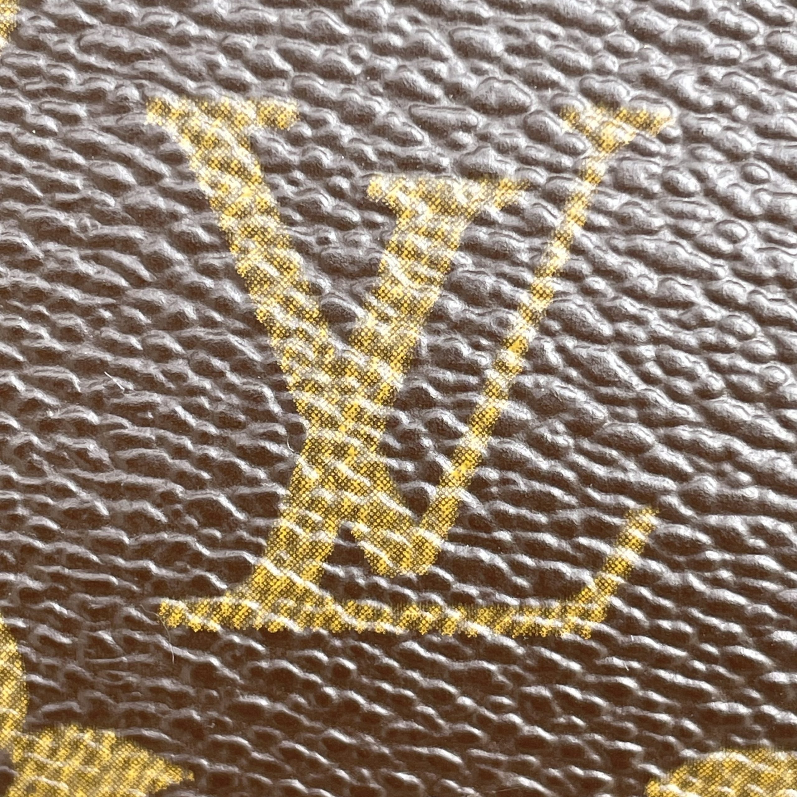 Louis Vuitton Pochette Accessoires Monogram – Image 10
